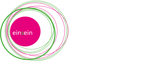 Print Design | Logo | einsein | Seminar, Ingolstadt | Printvorlage und Webversion | Konzeption, Design und Druckabwicklung